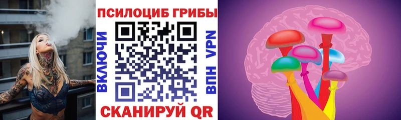 дарнет шоп  Котельники  кракен маркетплейс  Галлюциногенные грибы мухоморы 